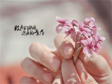 LED车灯需求持续，丽清一季度营收同比增长16.99%