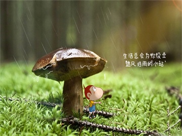 LG Display辟谣OLED投资传闻