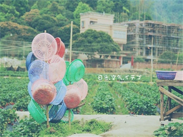 东方科脉越南基地竣工投产，年产2000万片电子纸显示屏